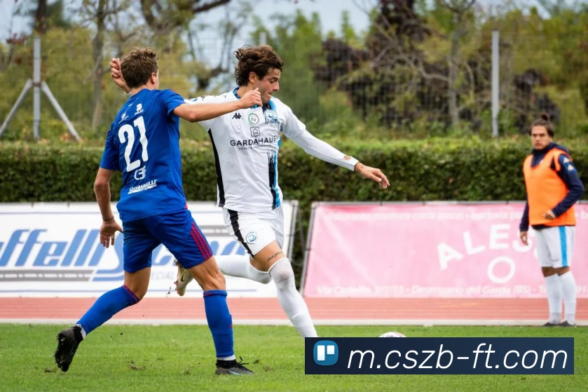 彩神争霸APP 体育赛事宣传图